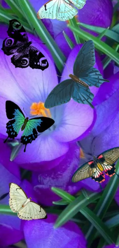 Purple butterfly wallpaper with vibrant flowers.