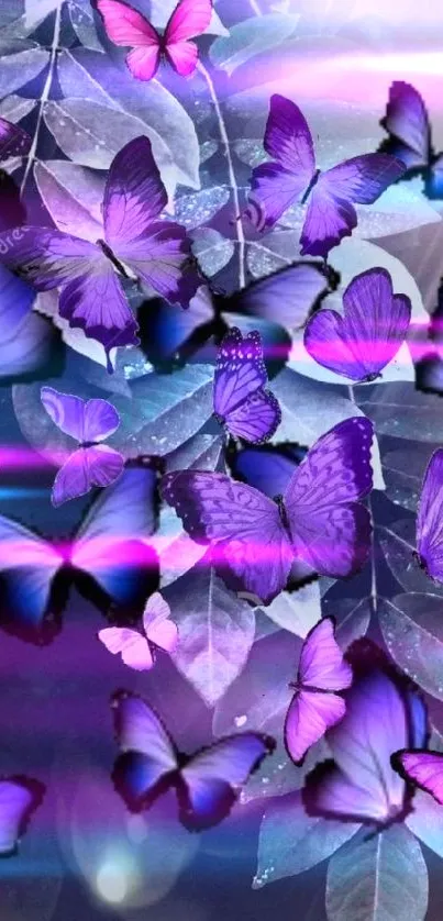 Purple butterflies on dark leafy background wallpaper.