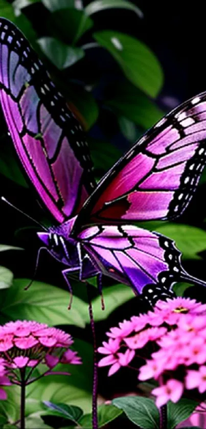 Purple butterfly with flowers mobile wallpaper