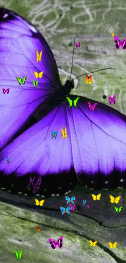 Beautiful purple butterfly on textured surface, perfect for mobile wallpaper.