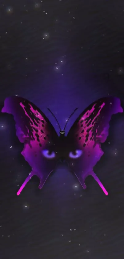 Neon purple butterfly on dark background wallpaper.