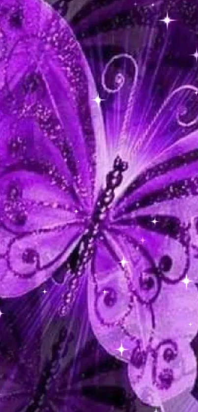 Purple butterfly with intricate designs on a vibrant background.