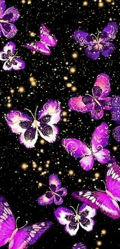 Purple butterflies on dark background wallpaper