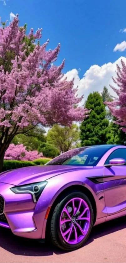 Purple car under pink cherry blossoms with blue sky.