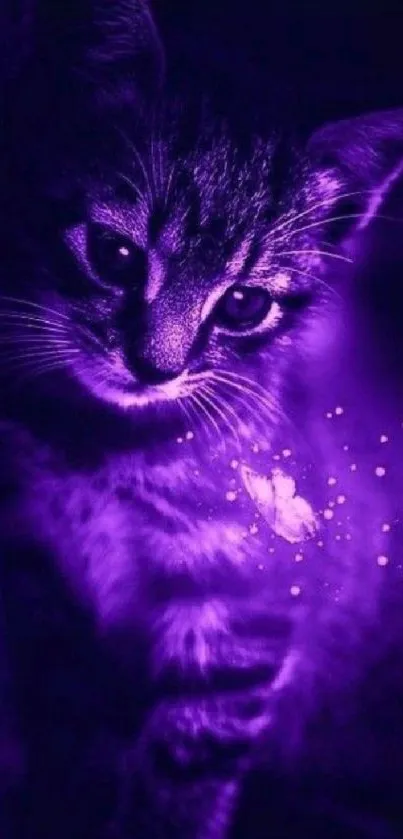 Purple cat with glowing accents and a mystical, dark background.