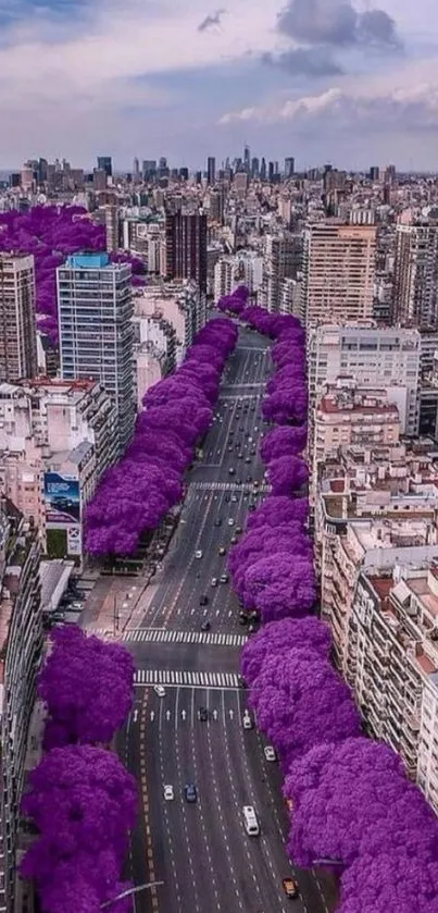 Aerial view of city with vibrant purple trees lining the boulevard.