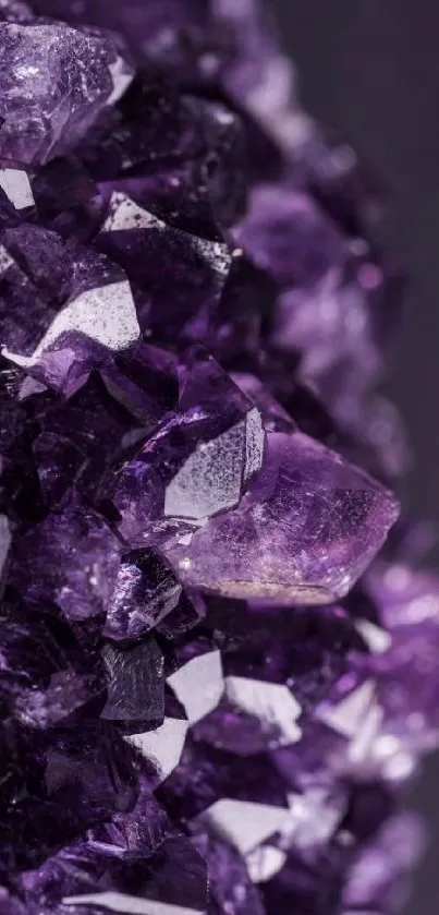 Close-up of vivid purple crystal with intricate facets and rich amethyst hues.