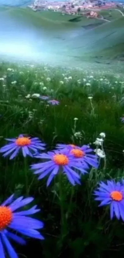 Purple daisies in a lush green landscape with a distant village.