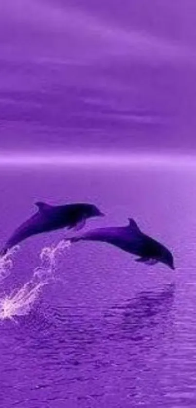 Two dolphins jumping over purple ocean waves under a purple sky.