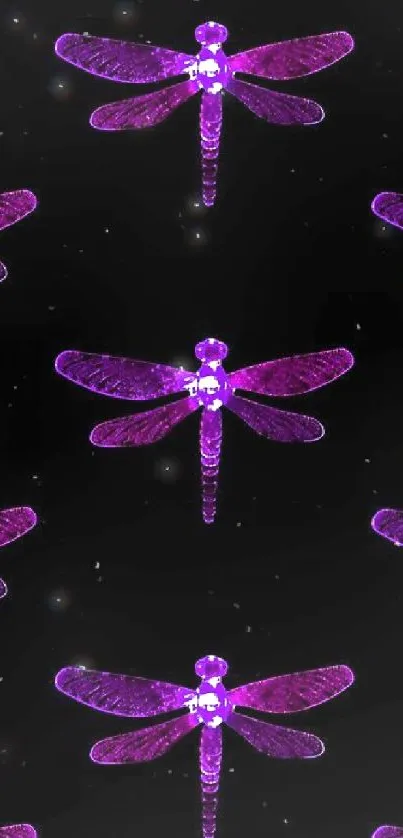 Purple dragonflies on a black background wallpaper.