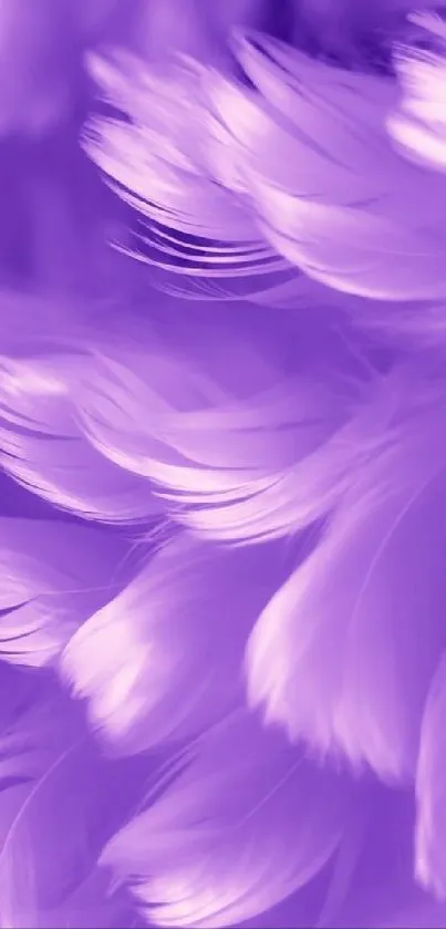 Elegant purple feather wallpaper with soft textures.