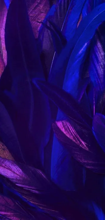 Vibrant purple and blue feather mobile wallpaper.