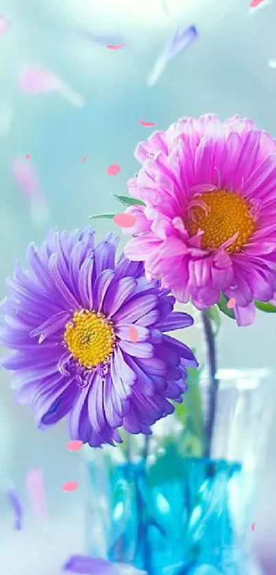 Purple and pink daisies in a vase with petals in the air.