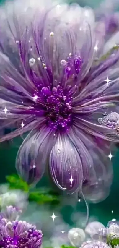 Vibrant purple flower with dew drops, perfect for mobile wallpaper.