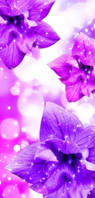 Purple floral wallpaper with bokeh background, featuring elegant blossoms.