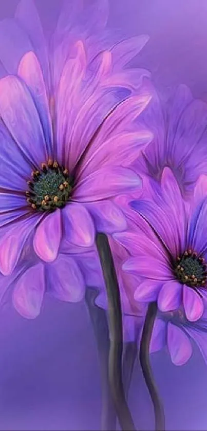 A vibrant purple floral wallpaper featuring delicate daisy petals against a soft background.