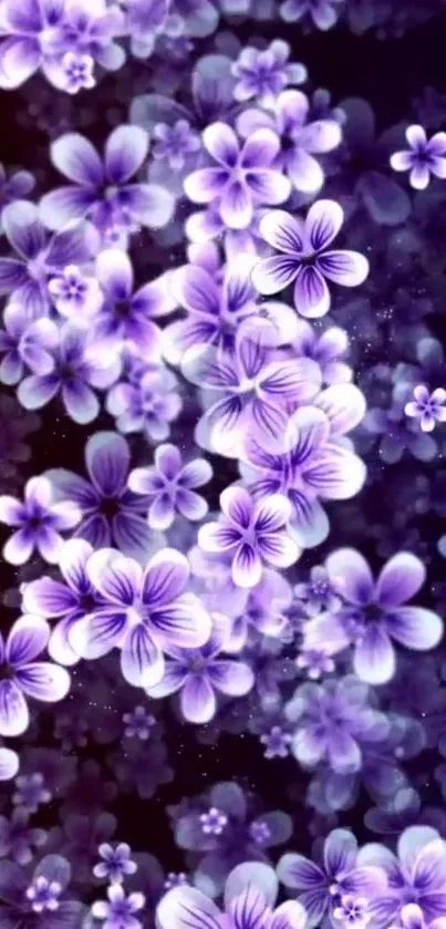 Vibrant mobile wallpaper with purple flowers on a dark background.