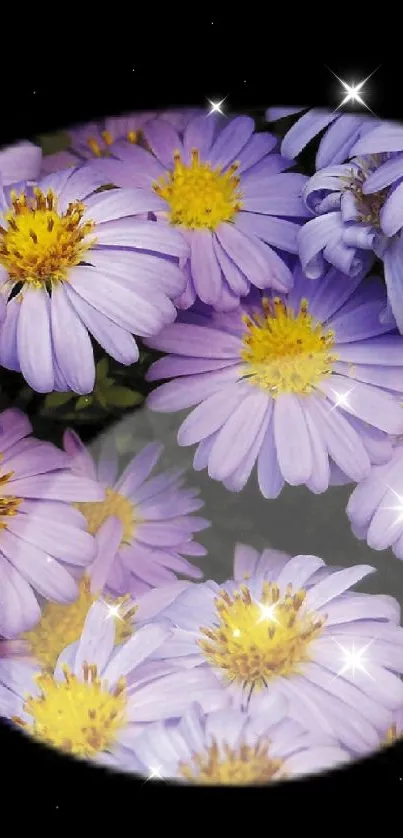 Purple asters mobile wallpaper with vibrant floral accents.