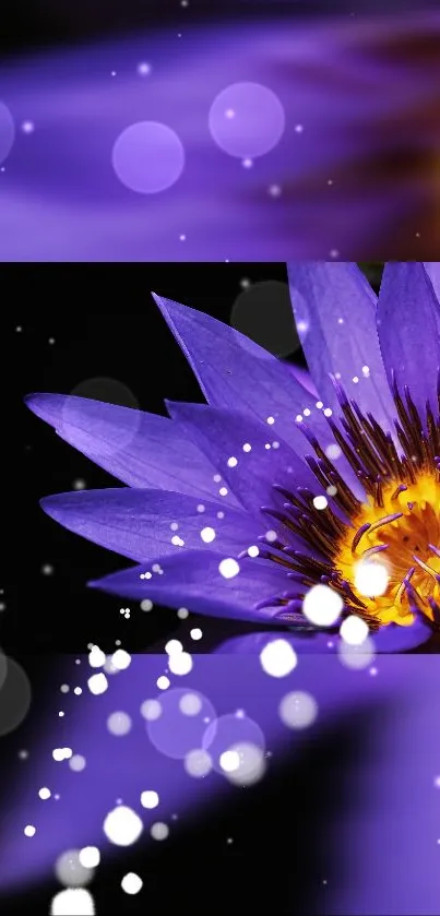 Beautiful vibrant purple flower mobile wallpaper with glowing effect.