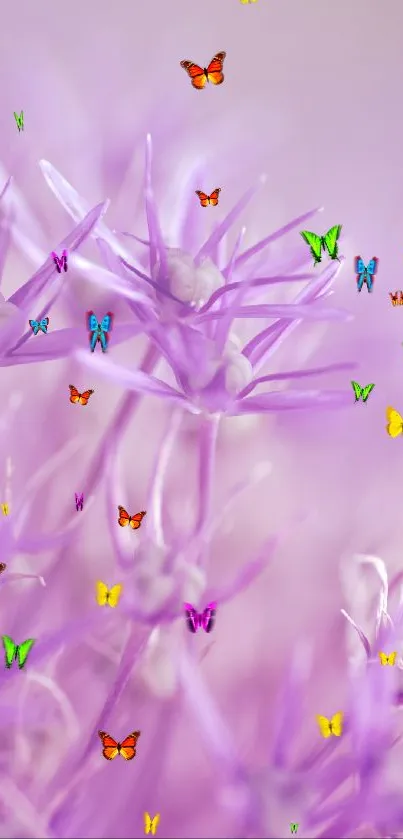 Close-up of vibrant purple flowers with delicate petals.