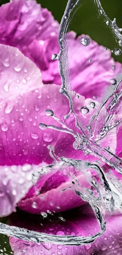 Pink flower with dynamic water splash effect.