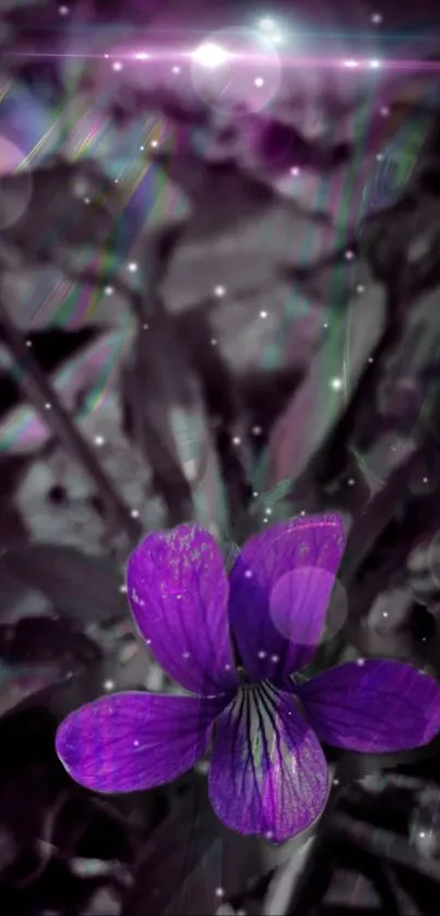 Vibrant purple flower set against a mystical, dreamy background.