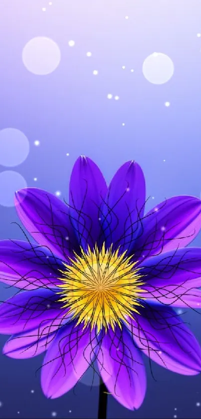 Vibrant purple flower with gradient background mobile wallpaper.