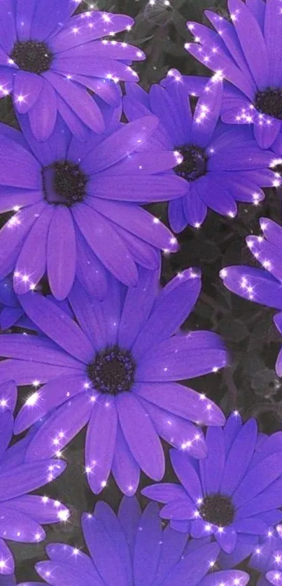 Vibrant purple flowers with sparkles on a mobile wallpaper.