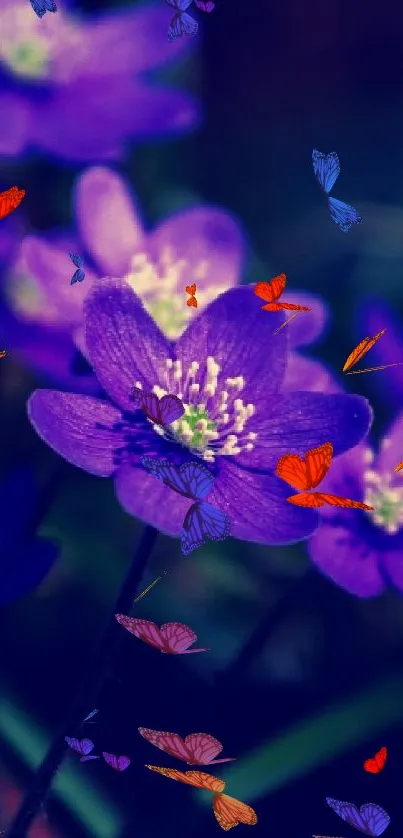 Vibrant purple flowers in natural setting.