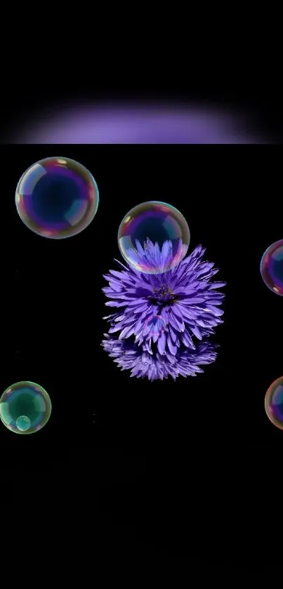 Purple flower with bubbles on black background.