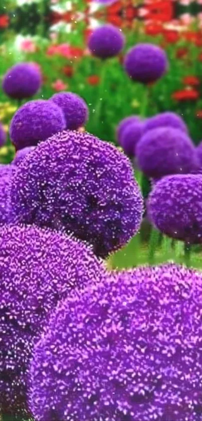 Vibrant purple flowers in a lush green garden.