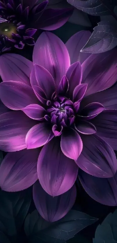 Dark purple flower with detailed petals and leaves.