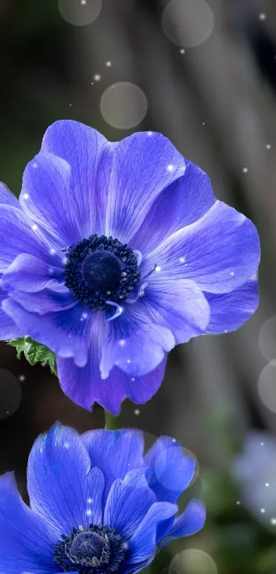 Vibrant purple flower with bokeh effect background.