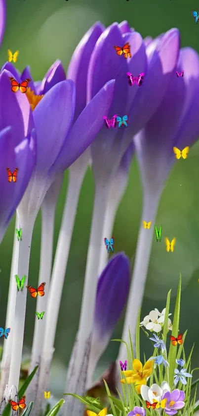 Purple flowers and butterflies wallpaper with vibrant natural colors.