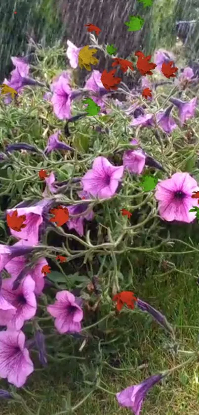 Purple flowers with lush greenery and vibrant petals in a natural setting.