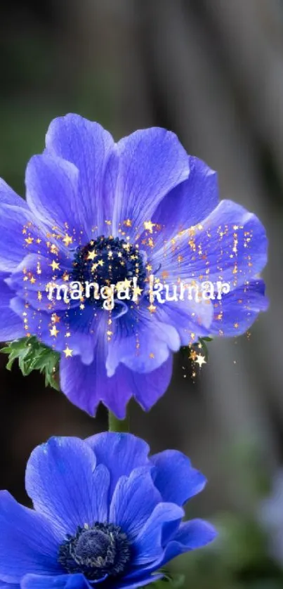 Vibrant blue flower in full bloom showcasing nature's beauty.