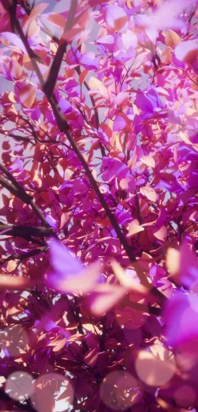 Vivid purple and gold leaf branches wallpaper.