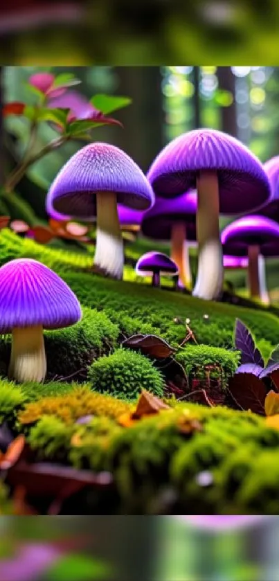 Purple mushrooms in a lush, green forest setting.