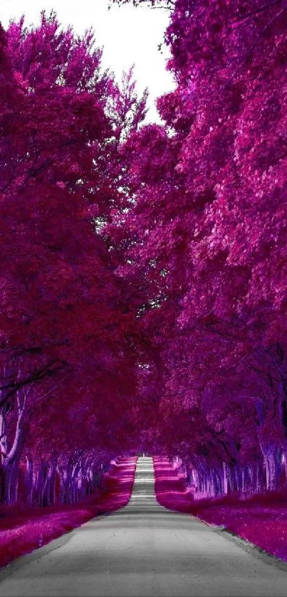 Vibrant purple forest path under a colorful canopy.