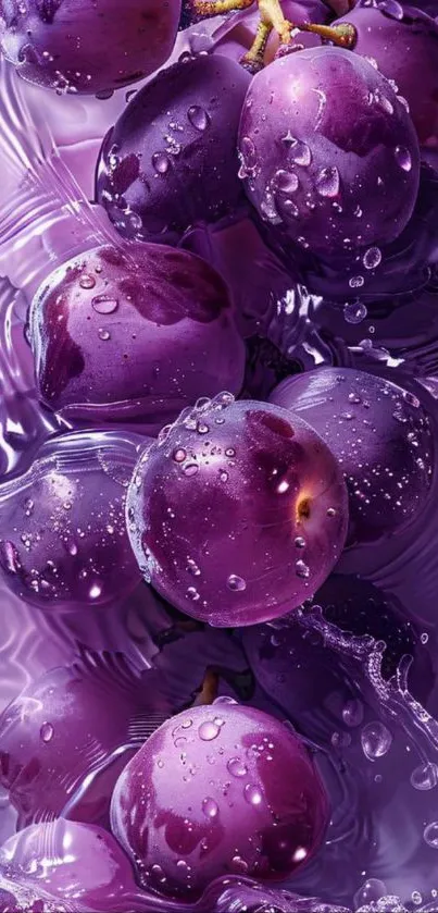 Close-up of vibrant purple grapes with water droplets, perfect for a mobile wallpaper.