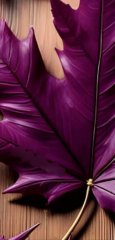 Purple leaf on wooden backdrop wallpaper