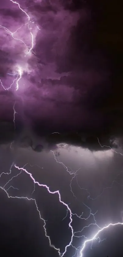 Dramatic purple lightning bolts in a dark sky wallpaper.