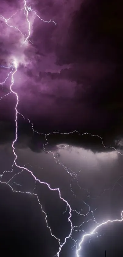 Electrifying purple lightning bolts illuminate a stormy night sky.