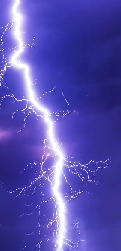 Purple lightning bolt striking against a dark sky.