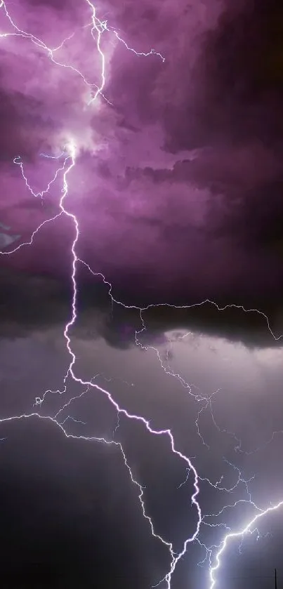 Vibrant purple lightning storm in a dark night sky wallpaper.