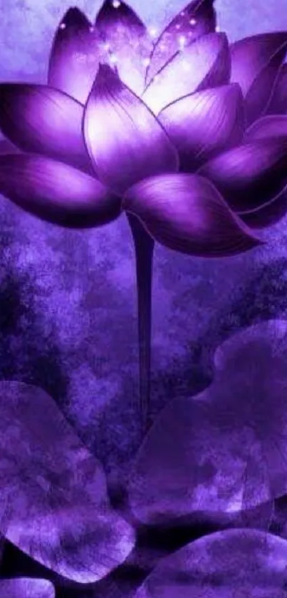 Purple lotus flower wallpaper with vibrant and serene design.