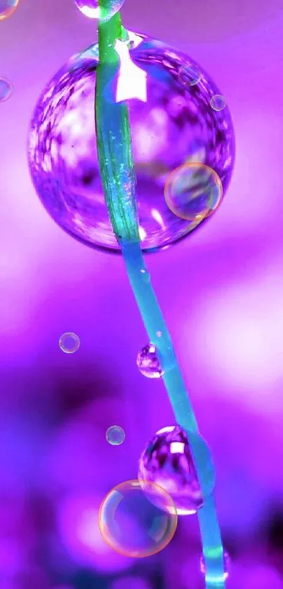 Vibrant purple wallpaper with water droplets on plants.