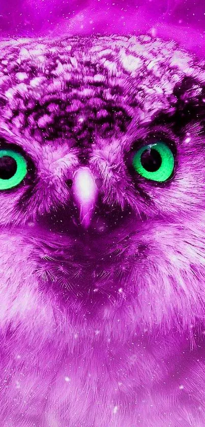 Purple owl with glowing green eyes on a vibrant background.