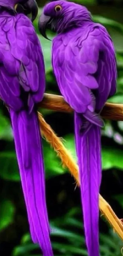 Purple parrots on a branch with lush green background.