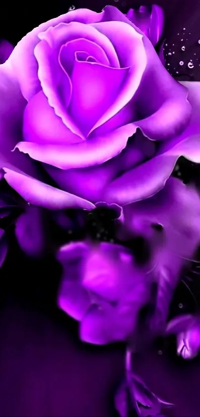 A stunning digital art purple rose wallpaper for mobile phones.